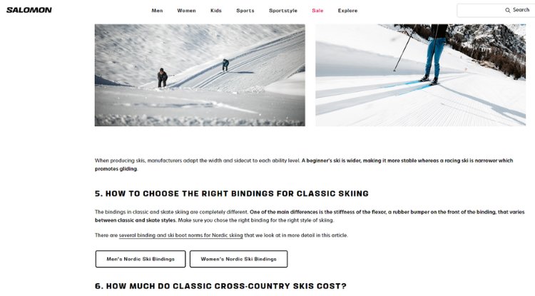 salomon ecommerce blog post ranking in Google