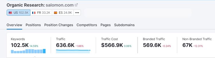 salomon.com organic traffic